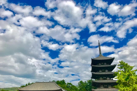 جولة ليوم واحد في نارا وأوجي - التركيز على ثقافة الراحة في كيوتوجولة ليوم واحد في نارا وأوجي - راحة ف