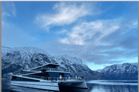 Flåm Flexible Tour with Stegastein, cruise and train include