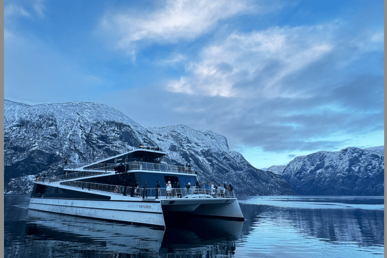 Flåm Flexible Tour with Stegastein, cruise and train include