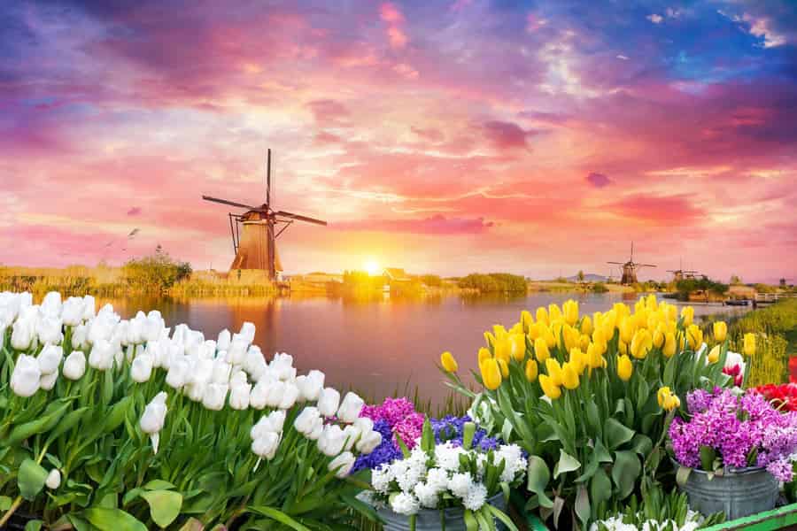 Ab Amsterdam: Private Tour zu den Keukenhof-Gärten. Foto: GetYourGuide