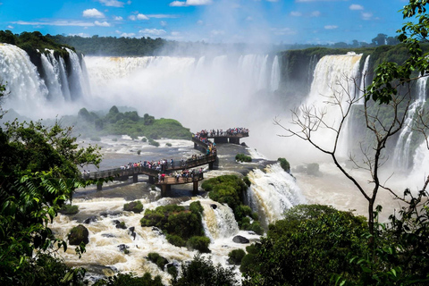 Aventure aux cascades du Brésil + parc ornithologique - Visite guidéeChutes d&#039;eau du Brésil et parc ornithologique + (guide et transport)