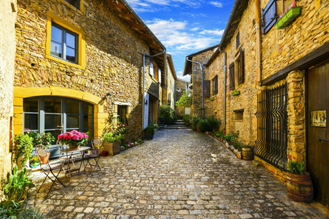 Lione: tour enologico del Beaujolais con degustazioni e visite al castelloLione: tour del vino del Beaujolais con degustazioni e visite al castello