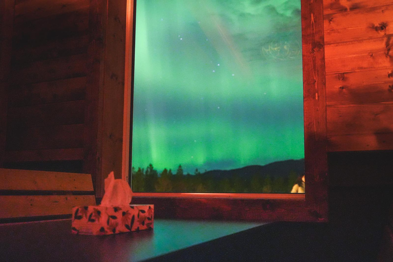 Aurora Lounge: Aurora Viewing Cabin & Bar