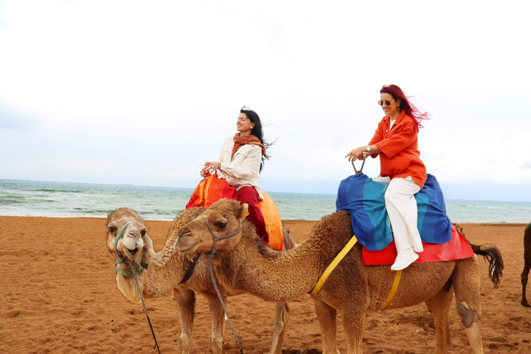 Tarifa: Day trip to Tangier by ferry with lunch and tour guide