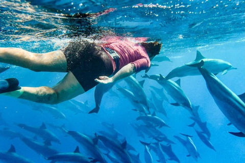 ZANZIBAR: Mnemba Island Snorkeling & Dolphin Tour with Lunch