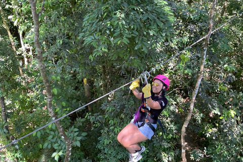 Manuel Antonio: Zipline Canopy Tour with Butterfly Garden