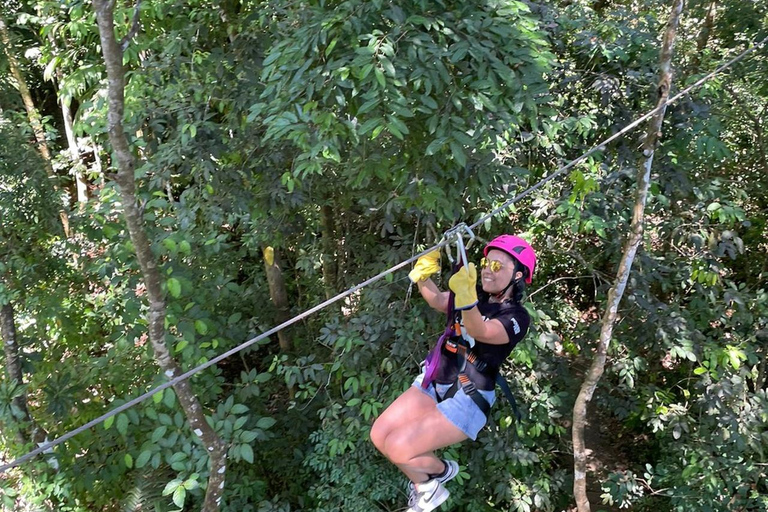 Manuel Antonio: Zipline Canopy Tour with Butterfly Garden