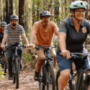 Collie: E-Bikes and Gourmet Delights Collie: E-Bikes and Gourmet Delights