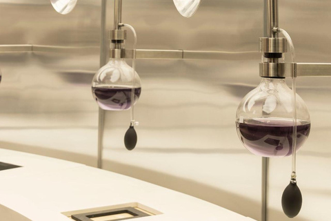 Concha y Toro Vineyard Premium Tour w/transportation