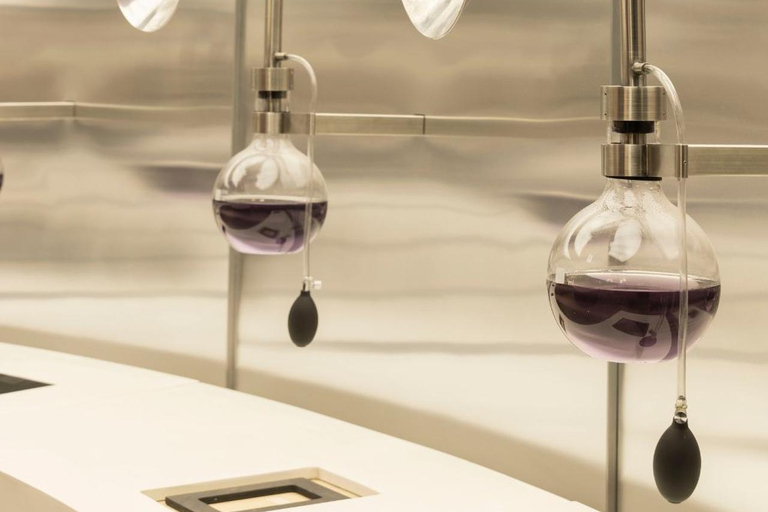 Concha y Toro Vineyard Premium Tour w/transportation