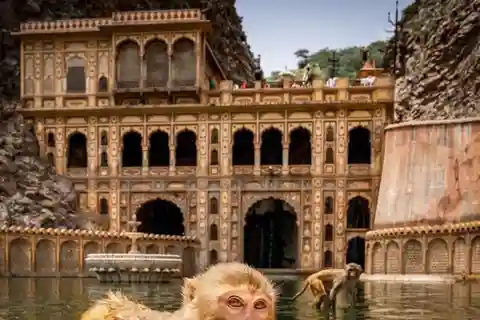 Giro turistico di Jaipur con tempio delle scimmie (tempio Galta ji)