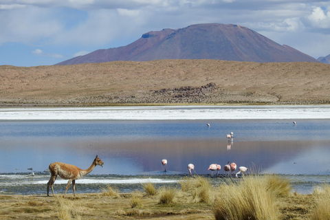 City of La Paz | 4-Day Uyuni Expedition to San Pedro Atacama Tour with Spanish-speaking driver
