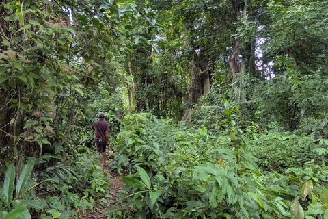 Kuang Si Waterfalls Hiking Adventure &amp; Morning Mekong Cruise