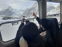 Desde Milán, el pintoresco viaje de día de los Alpes con Bernina Train Ride - Housity