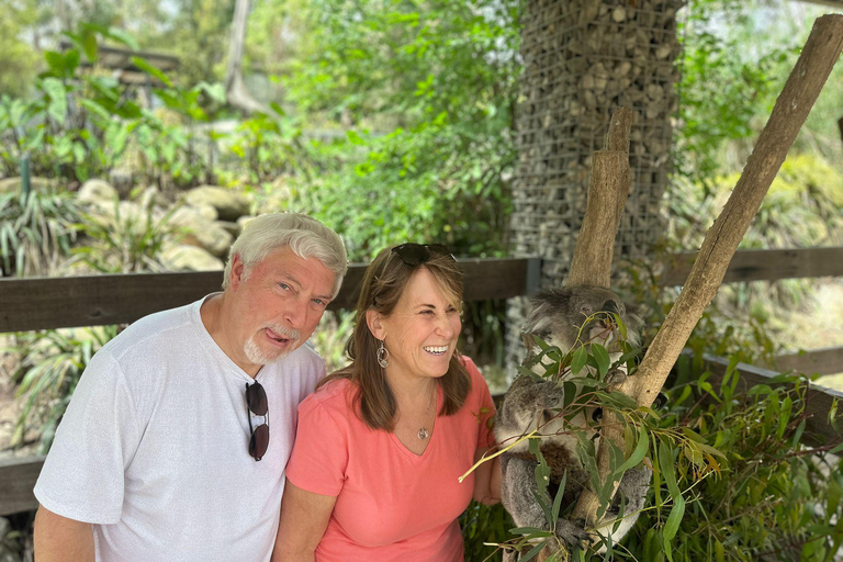 Vanuit Adelaide: Knuffel een Koala en historische Hahndorf Tour