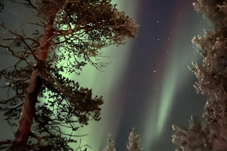 Saariselkä/Kakslauttanen: Private Aurora Hunt in Premium Car Saariselkä: Premium Northern Lights Car Hunt in Small Group