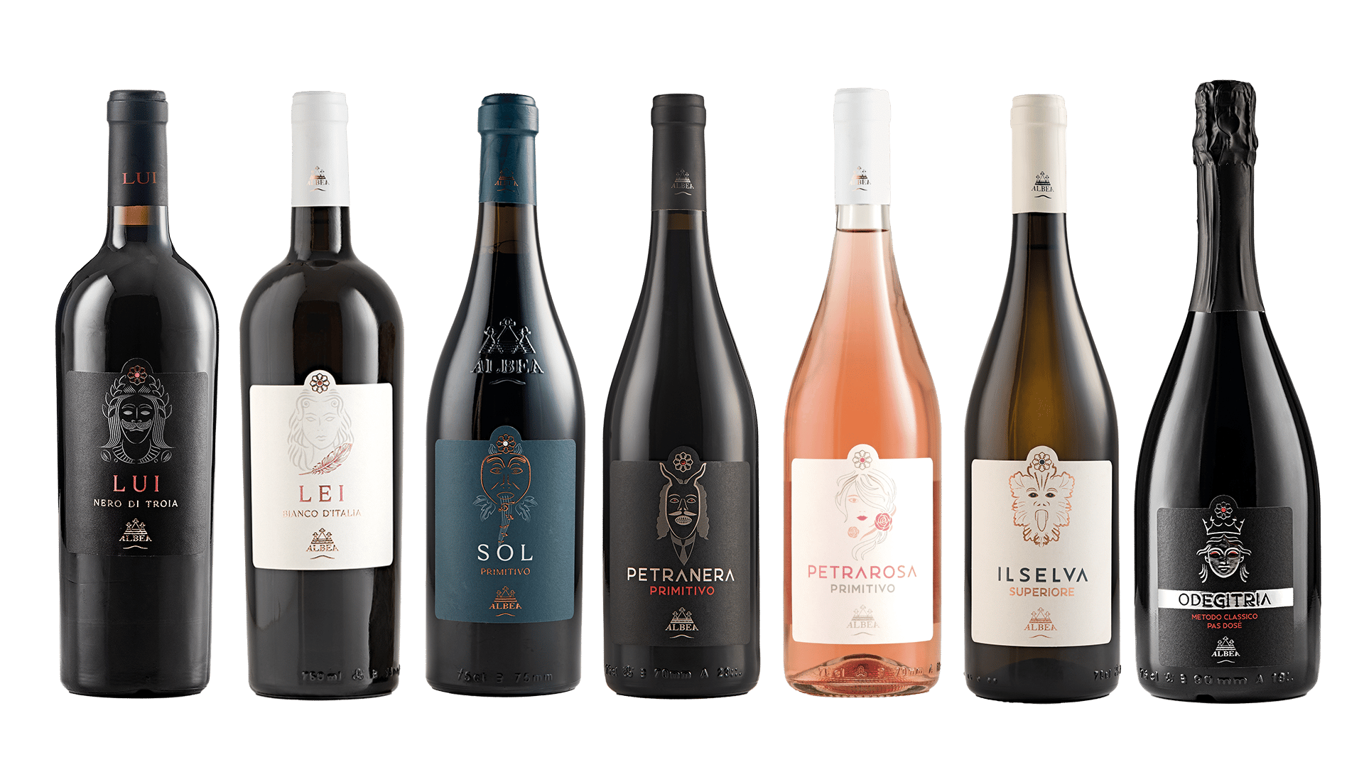 Alberobello: Wein-Erlebnis mit Besuch der Weinkellerei und des Weinmuseums