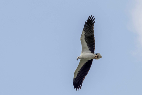 Colombo: Bird watching around Colombo-Guided Tour - 06 hours