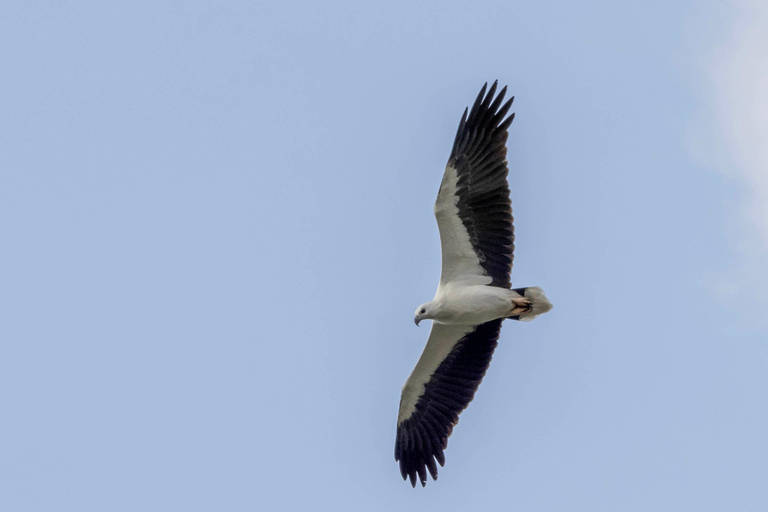 Colombo: Vogels kijken rond Colombo Rondleiding - 06 uur