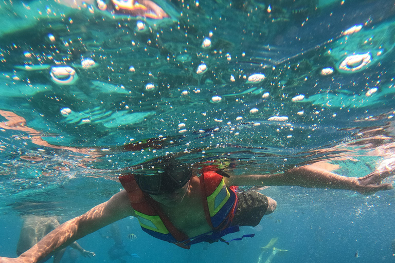 Lombok: Private Glass-Bottom Boat Tour with Snorkeling