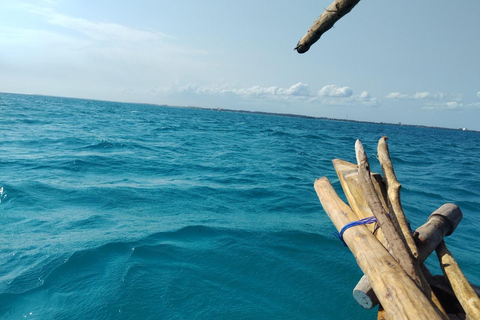 Zanzibar;Blue Safari Snorkeling & Blue Lagoon with BBQ lunch Pickup anywhere (All inclusive)