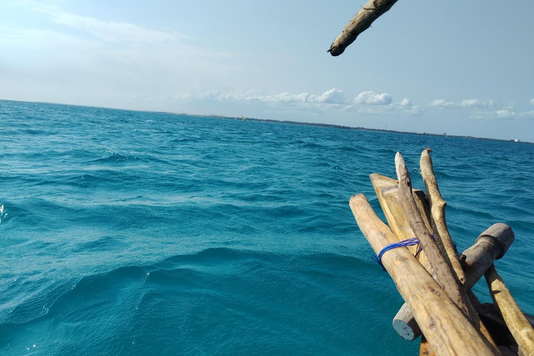 Zanzibar;Blue Safari Snorkeling & Blue Lagoon with BBQ lunch Pickup anywhere (All inclusive)