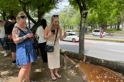 Nara: Halvdag med lokal guide – Big Buddha, hjort, helgedom, skogNara: Halvdag lokal guide- Stora Buddha, hjort, helgedom, skog