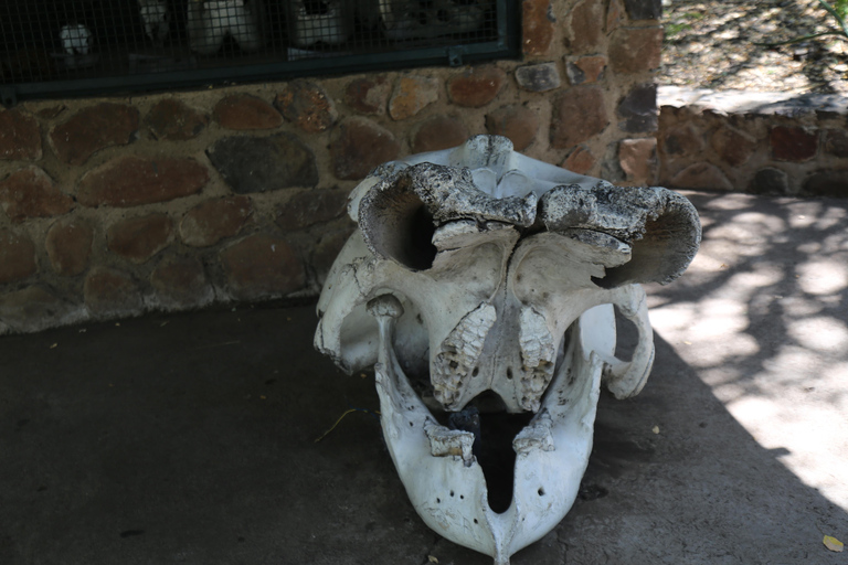 Victoria Falls in a Day Safari, Waterfalls & Sunset Cruise