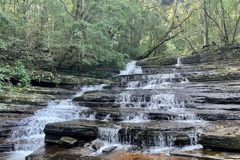 From Kandy: 3-Day Knuckles Mountain Range Trek with Camping