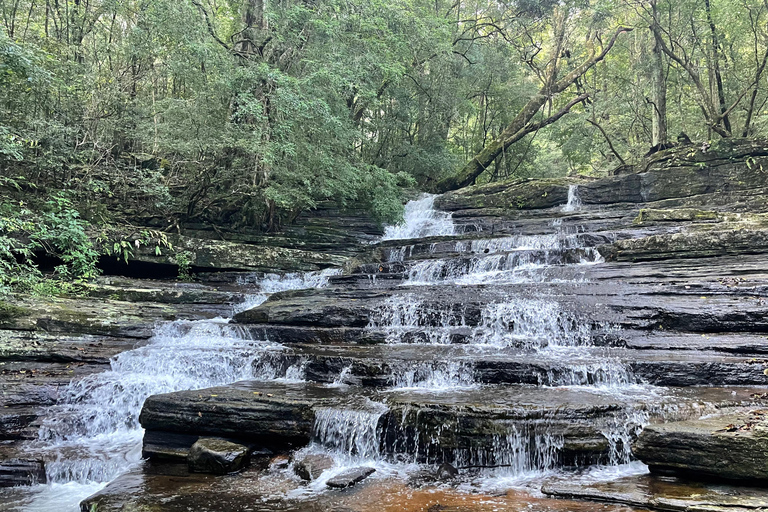 From Kandy: 3-Day Knuckles Mountain Range Trek with Camping