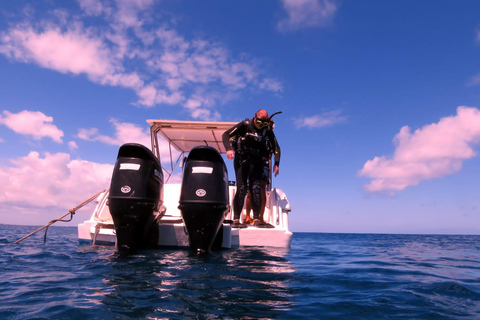 Blue Bay: Discover Scuba Diving