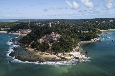 Depuis Salvador : Visite du Morro de Sao Paulo