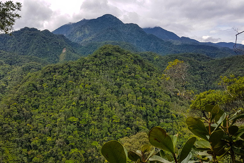 San Pedro Sula: Azul Meámbar National Park Day Trip