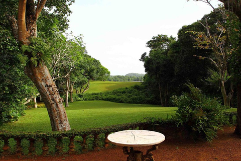 Bentota Private Tour from Colombo Geoffrey Bawa Lunuganga Garden Private Tour