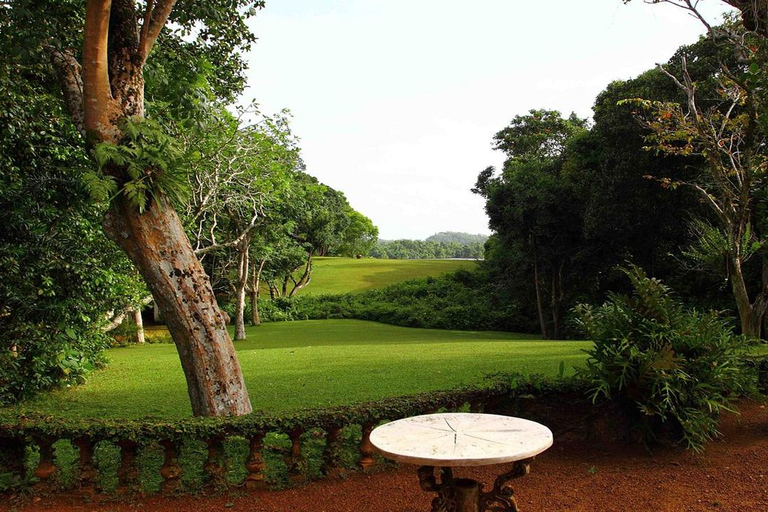 Bentota Private Tour from Colombo Geoffrey Bawa Lunuganga Garden Private Tour