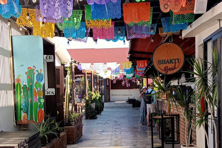 Tour Todos Santos Magical Town, Hotel California