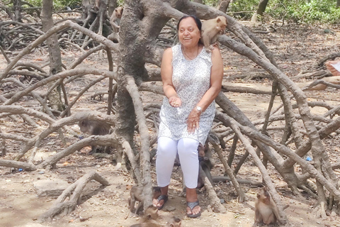 Can Gio Mangrovebos en Apeneiland dagvullende tour