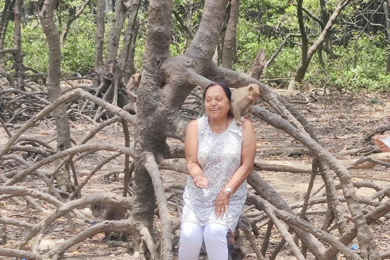 Tour de día completo por el bosque de manglares de Can Gio y la Isla de los Monos