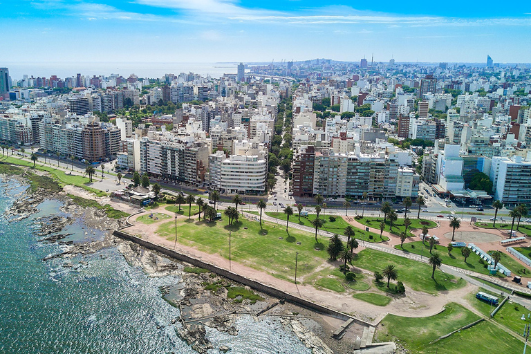 Montevideo for Cruise Passengers: Half-Day Tour of the Top Attractions Montevideo Express for Cruise Passengers: Culture and Local Experiences