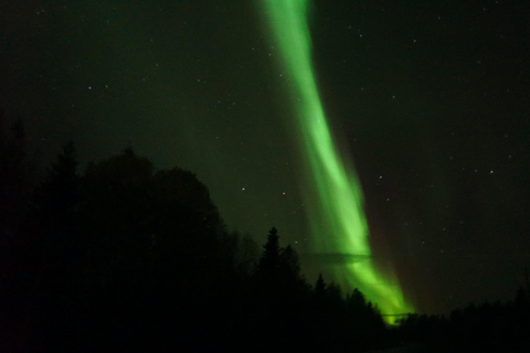 Rovaniemi Northern Lights – The Real Guaranteed Hunt