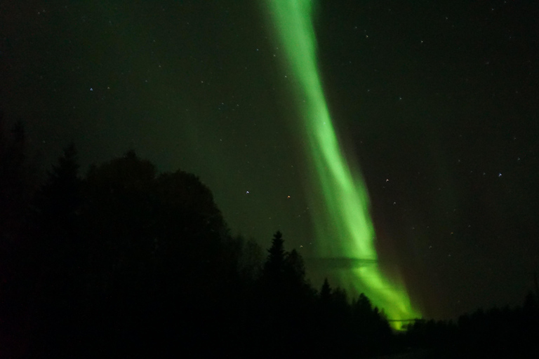 Rovaniemi Northern Lights – The Real Guaranteed Hunt