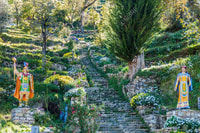 Giornata intera a Copacabana e Isla del Sol - Housity