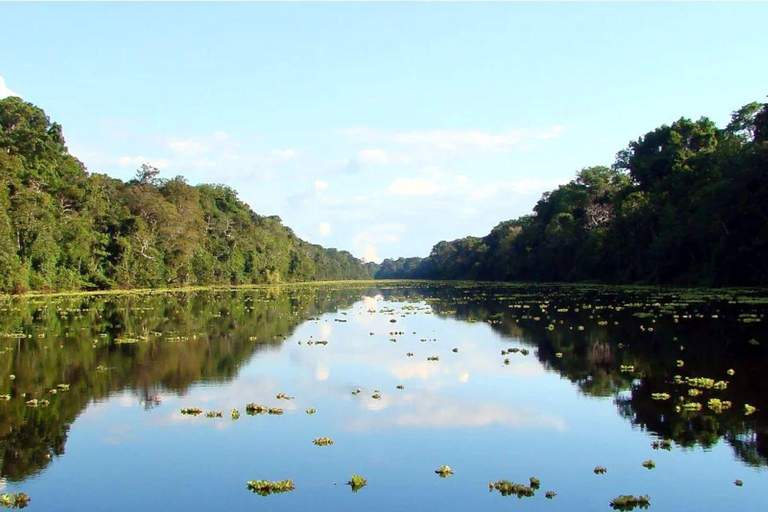 “Day Trip: Piranha Fishing in the Pacaya Samiria Reserve”