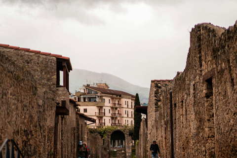 Naples: Pompeii & Herculaneum Shared Regular Group Tour
