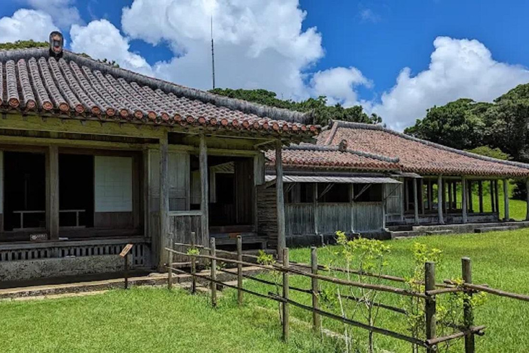 Naha in Step: A Walking Tour Through History and Island Life