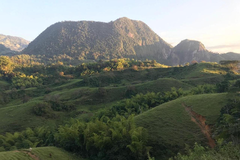 MEDELLÍN: WEJDŹ I ZDOBĄDŹ NATURALNĄ PIRAMIDĘ CERRO TUSAMedellin: Wycieczka piesza Cerro Tusa ze śniadaniem i lunchem