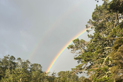 Auckland: Bioluminescence Kayak Tour with Guide