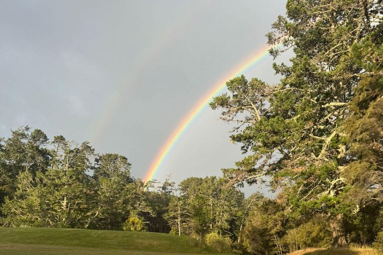 Auckland: Bioluminescence Kayak Tour with Guide