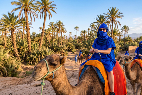 Marrakech: Palmeraie Camel Ride with Mint Tea & Pickup