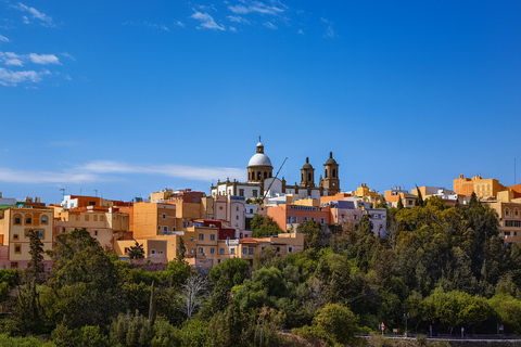 Gran Canaria: Agüimes, Gofio Mill &amp; Eco Farm Food Tasting